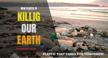 Plastic Pollution: Killing Our Planet, Our Home