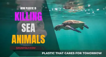 Plastic Pollution: A Deadly Threat to Marine Life