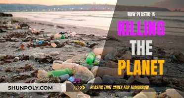 Plastic's Deadly Impact: Killing Our Planet