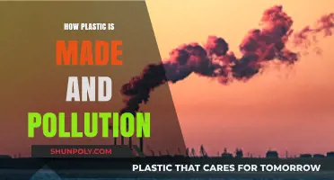 From Creation to Crisis: Understanding Plastic Production and Pollution