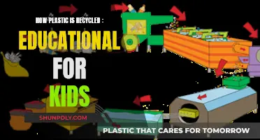 Plastic Recycling: Fun Facts for Kids to Learn!