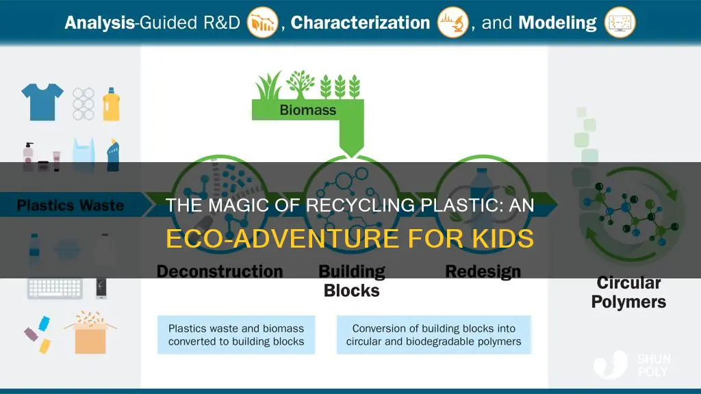 how plastic is recycled : educational for kids