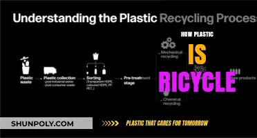 Unraveling the Myths: How Plastic is Recycled