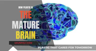 The Mature Brain: Plasticity and Potential