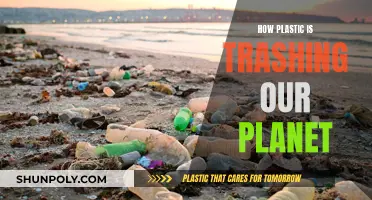 Plastic Pollution: Trashing Our Planet