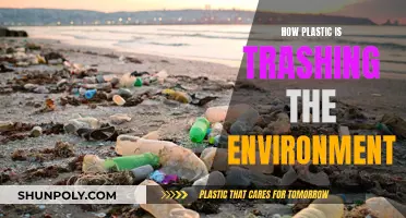 Plastic Pollution: Trashing Our Planet, Our Health