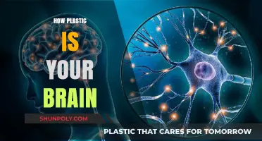Exploring Neuroplasticity: How Malleable Is Your Brain?