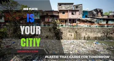 Urban Plastic: Assessing Your City's Environmental Footprint