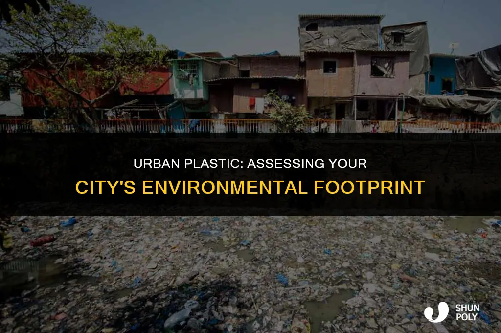 how plastic is your citiy