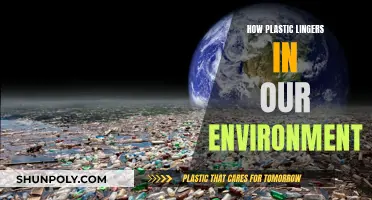 Plastic's Long-Lasting Impact on Our Environment