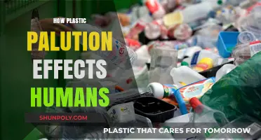 The Silent Threat: How Plastic Pollution Impacts Human Health