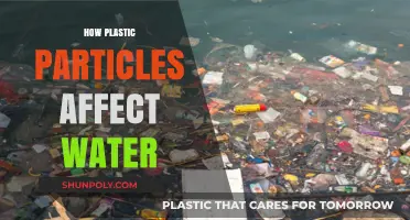 The Invisible Threat: How Plastic Particles Pollute Our Waterways