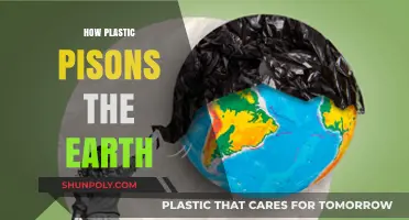 The Silent Threat: How Plastic Pollution Suffocates Our Planet