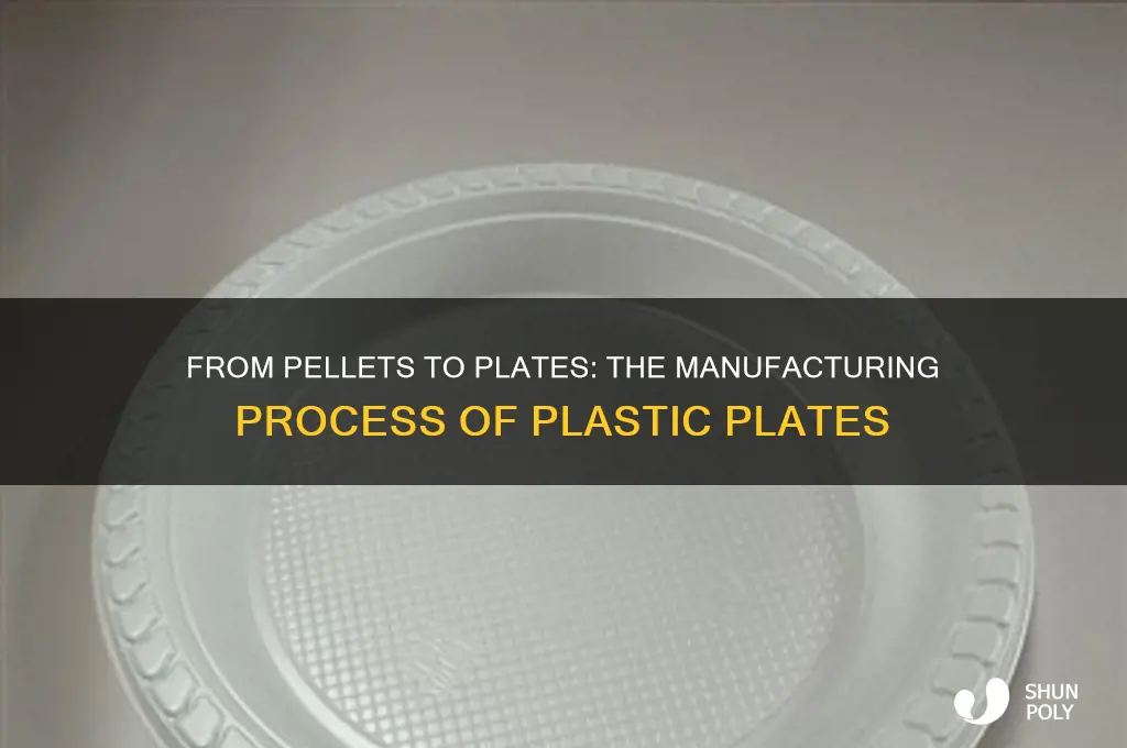 how plastic plates are made