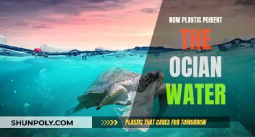 Plastic Pollution: Poisoning Our Oceans
