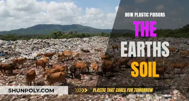 Plastic Pollution: Poisoning Earth's Soil