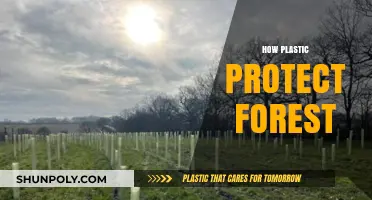 Shielding Nature's Lungs: The Unseen Role of Plastic in Forest Protection