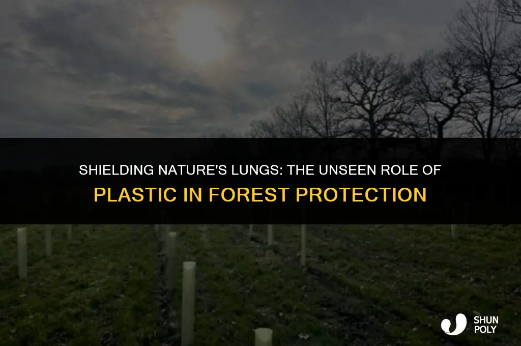 how plastic protect forest