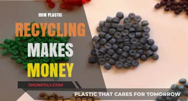Profitable Plastic Recycling: Turning Waste into Wealth and Sustainability