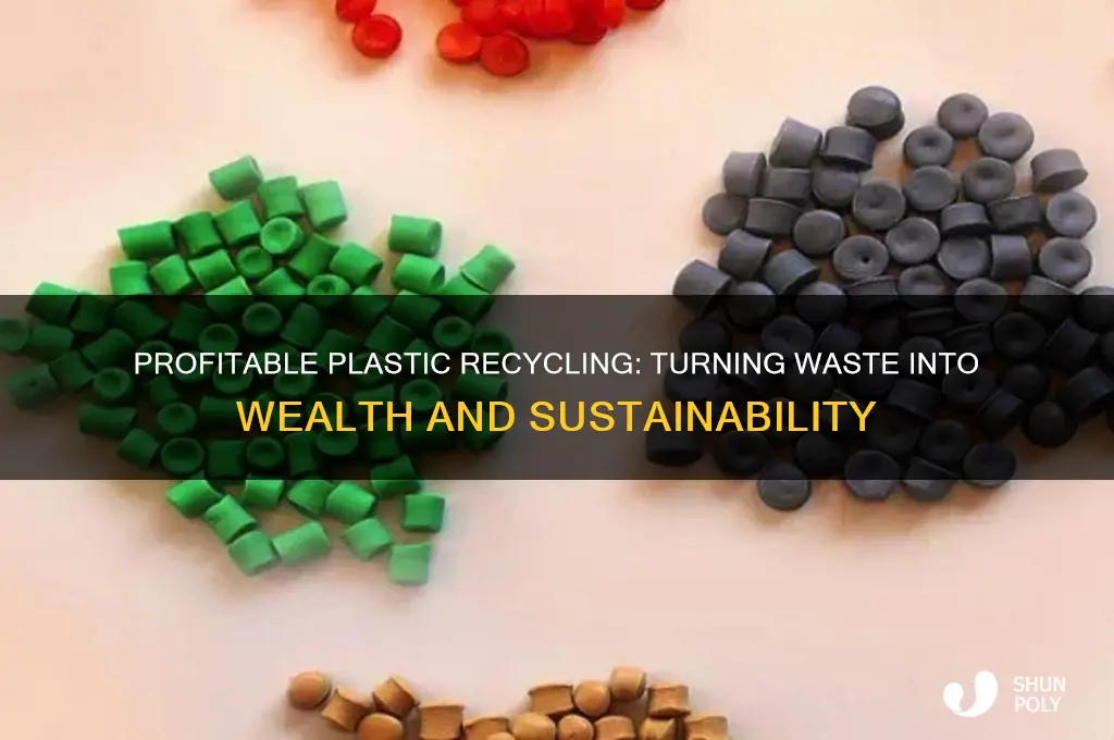 how plastic recycling makes money