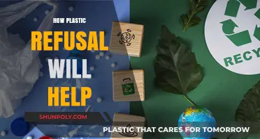 Embracing a Plastic-Free Future: Small Steps, Big Impact