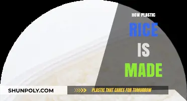 Unveiling the Process: How Plastic Rice is Made and Detected