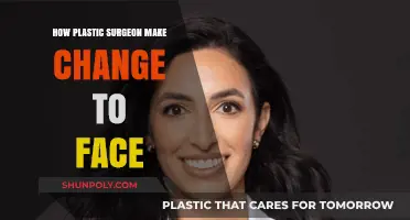 Transforming Faces: The Art and Science of Plastic Surgery Techniques