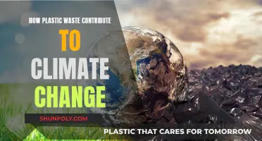 Plastic Pollution: A Climate Crisis Contributor