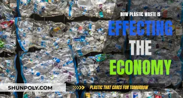Plastic Pollution: Economic Impact and Environmental Crisis