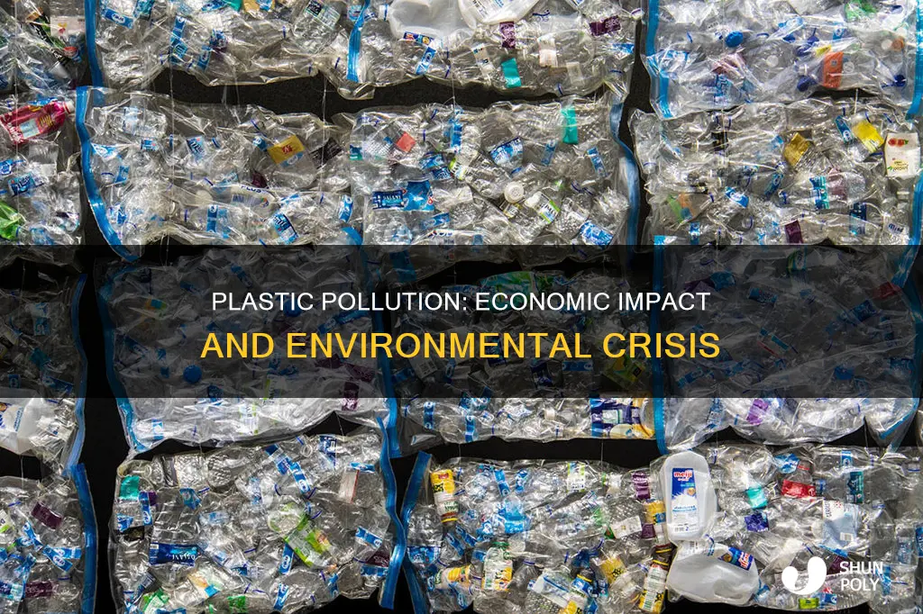 how plastic waste is effecting the economy