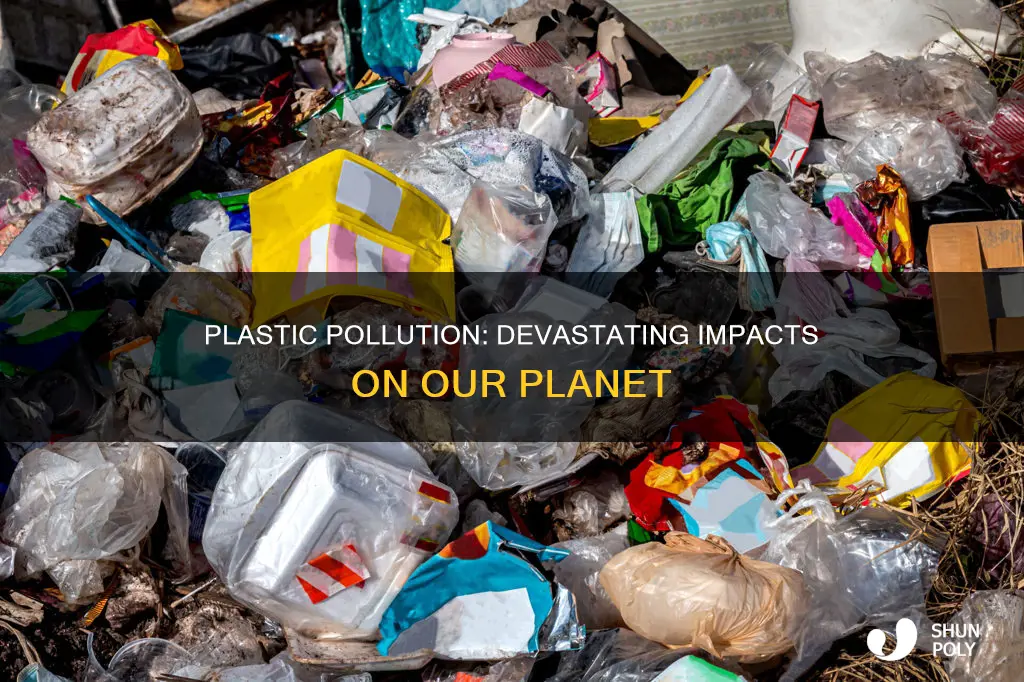 how plastic waste negatively affects the earth