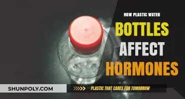 Plastic Water Bottles: Unseen Hormonal Disruptors in Your Daily Life