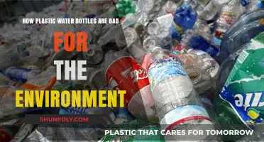 Plastic Water Bottles: Environmental Hazards and Sustainable Alternatives