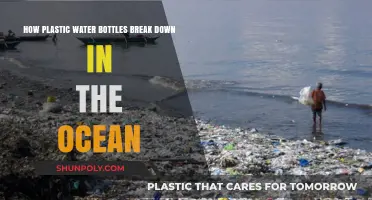 Ocean's Plastic Plight: How Water Bottles Break Down Over Time