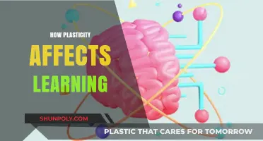 Unlocking Potential: The Power of Plasticity in Learning