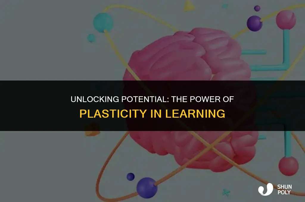 how plasticity affects learning