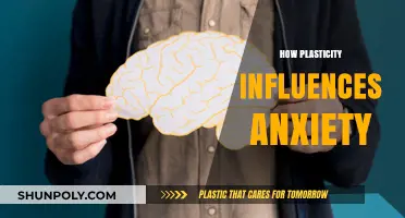 Unraveling the Connection: How Plasticity Shapes Anxiety Levels