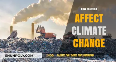 Unveiling the Impact: Plastics and Climate Change Connection