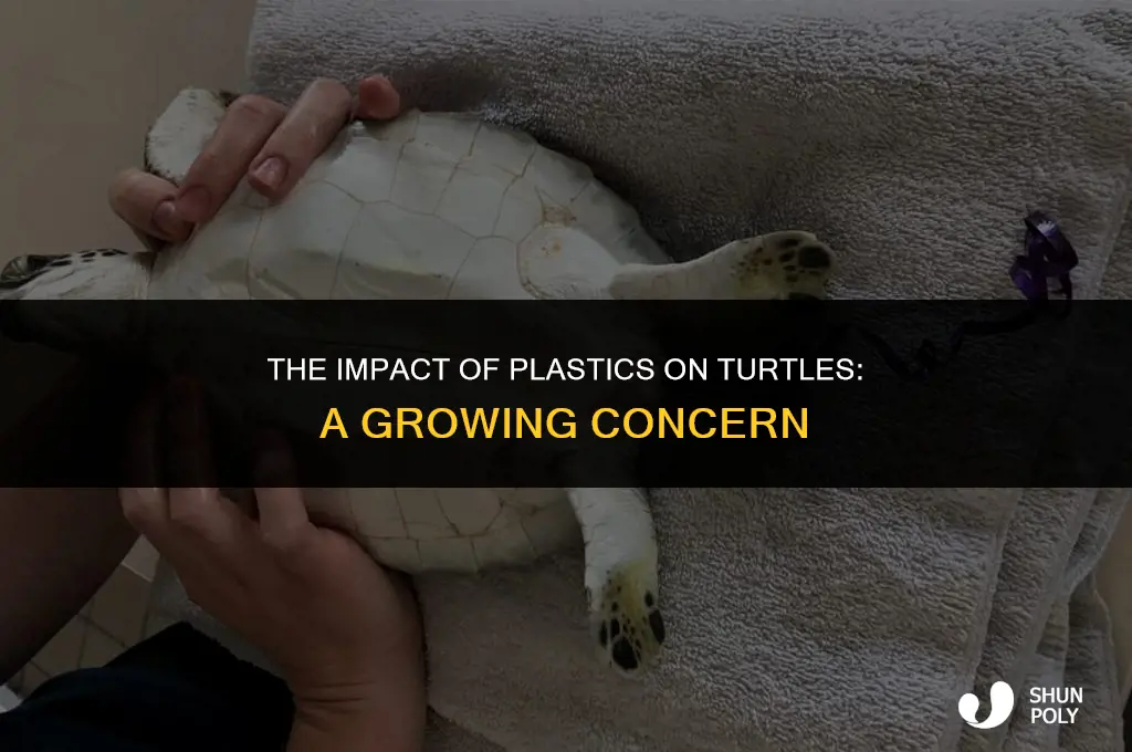how plastics affect turtles