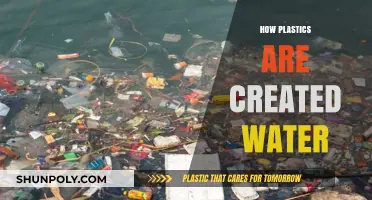 From Polymer to Pollution: The Journey of Plastics in Water
