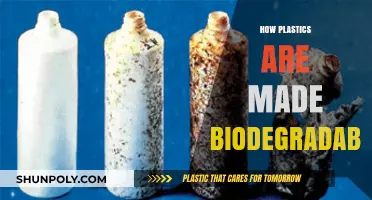 Innovative Solutions: Making Plastics Biodegradable for a Greener Future