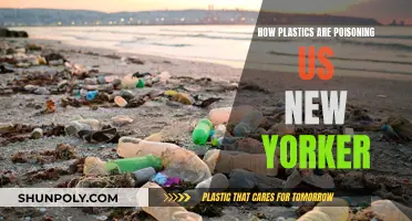 Plastic Poisoning: The New Yorker's Toxic Threat