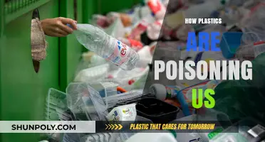 The Silent Threat: How Plastics Are Poisoning Our Bodies and Planet