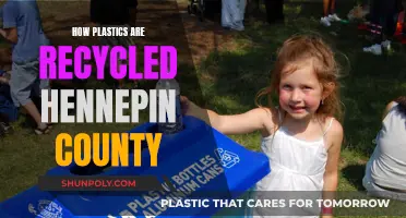 Hennepin County's Plastic Recycling Journey: From Collection to Creation