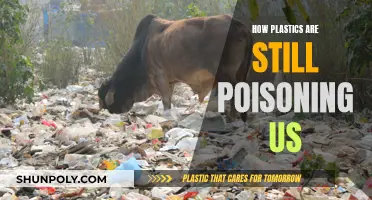 The Poison Plastic Age: How Plastics Poison Us