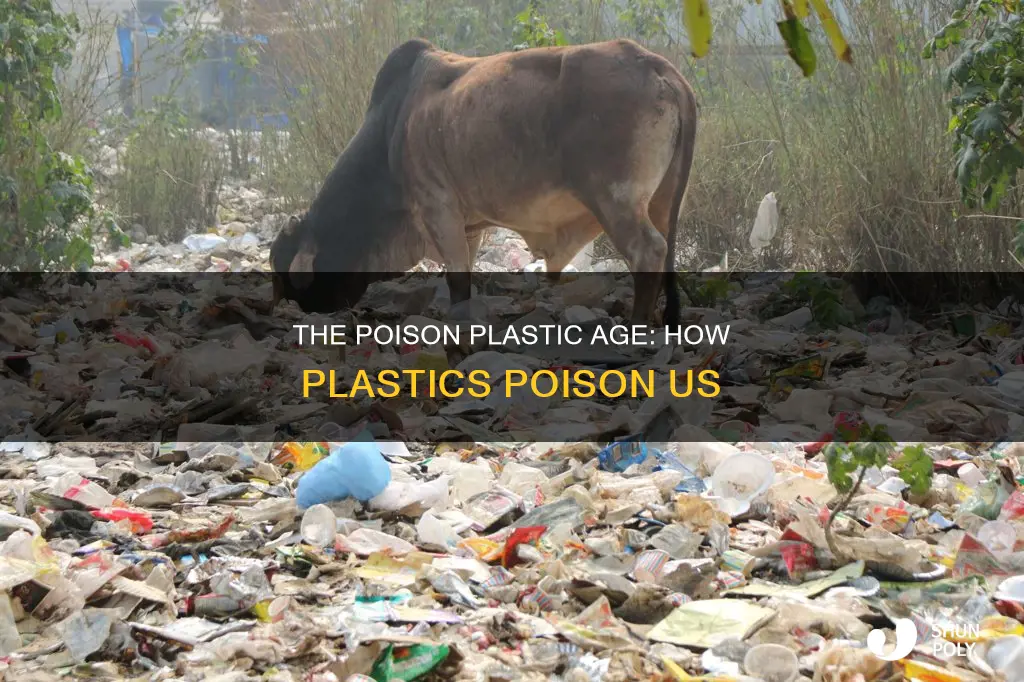 how plastics are still poisoning us