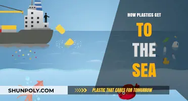 From Land to Ocean: Tracing the Journey of Plastics to the Sea
