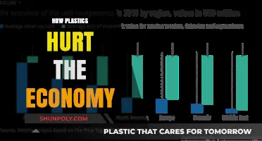 The Hidden Costs: How Plastics Impact Our Economy