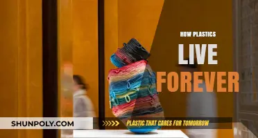Eternal Plastics: Unraveling the Mystery of Their Timeless Persistence