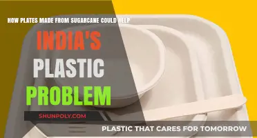 Sugarcane Plates: A Sustainable Solution to India's Plastic Crisis
